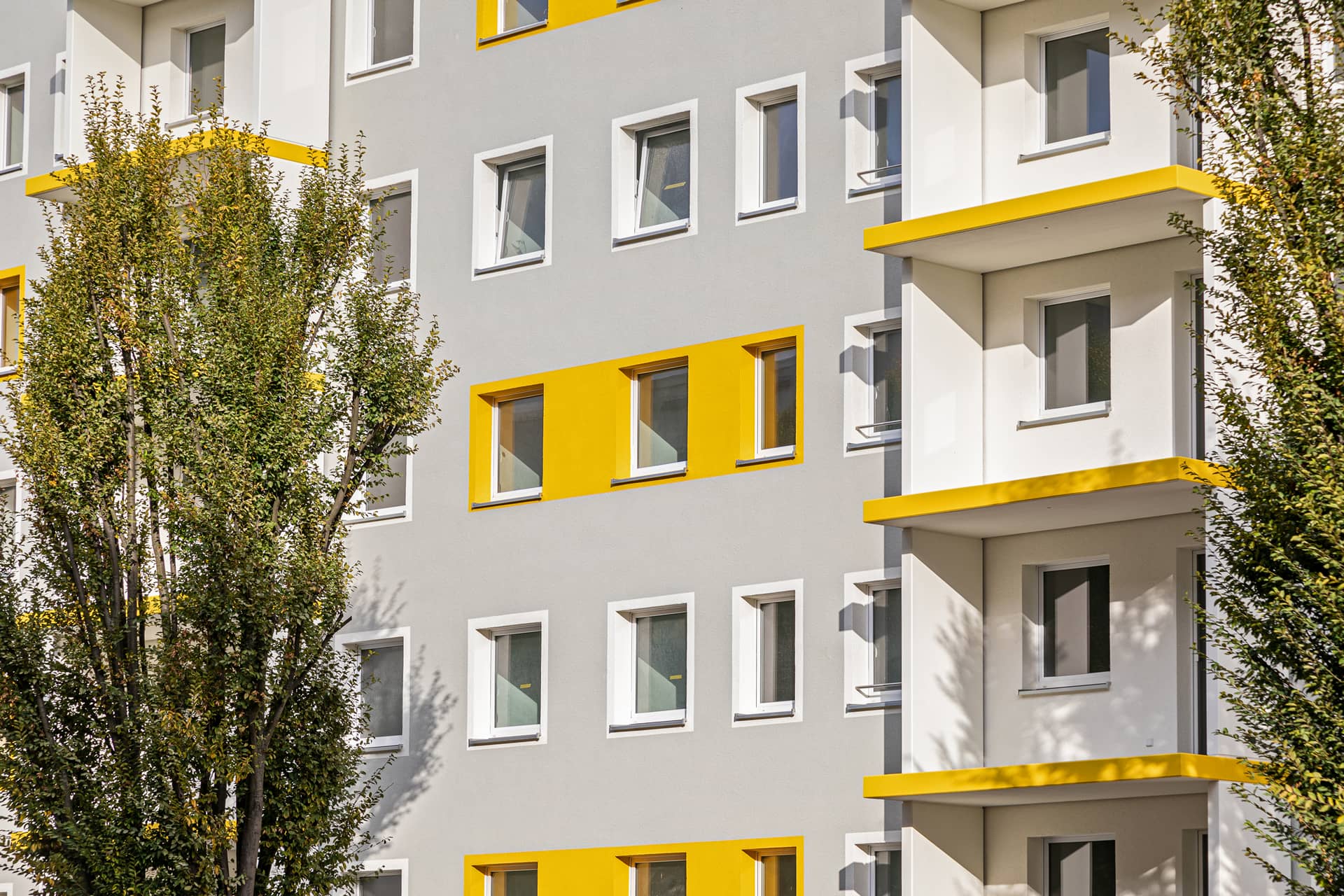 Hainbuchenstrasse 6 8 Nahaufnahme.jpg