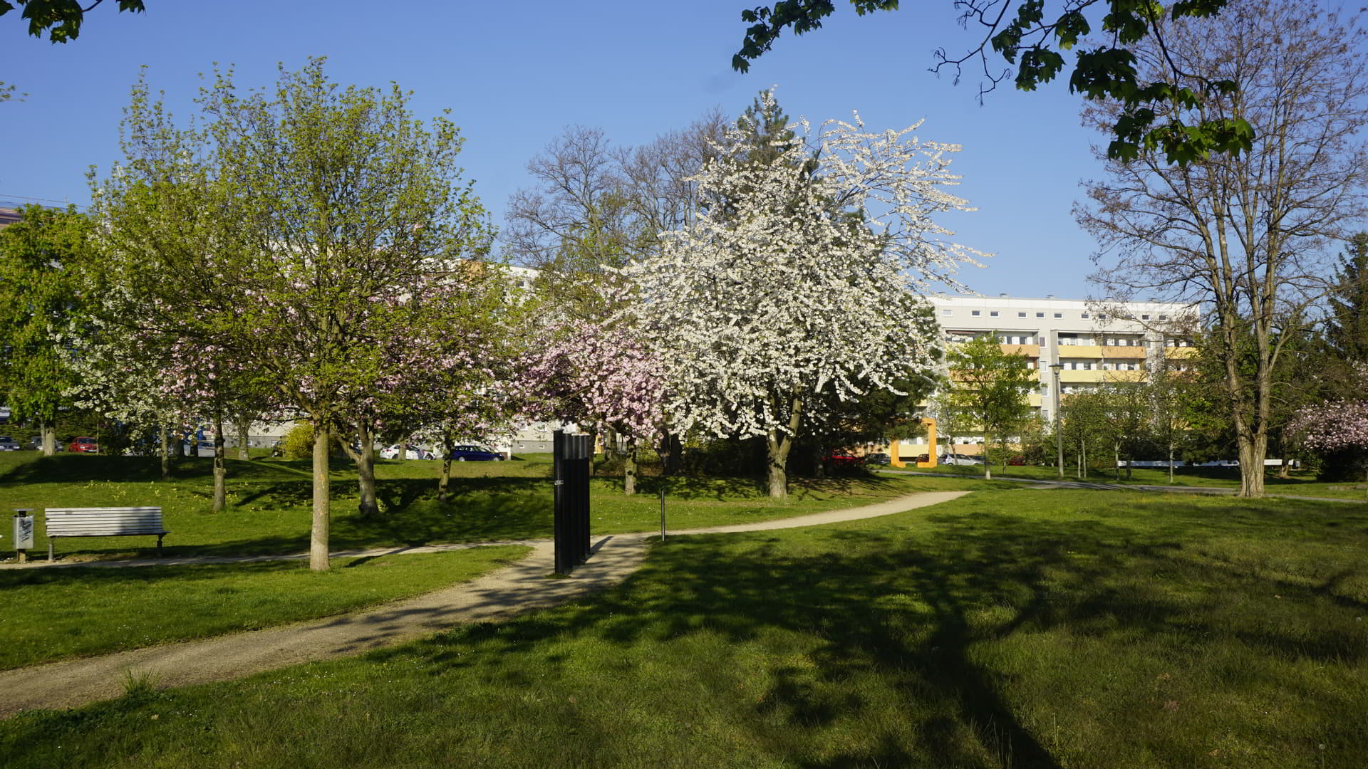 Ewg Dresden Stadtblick Park Frühling