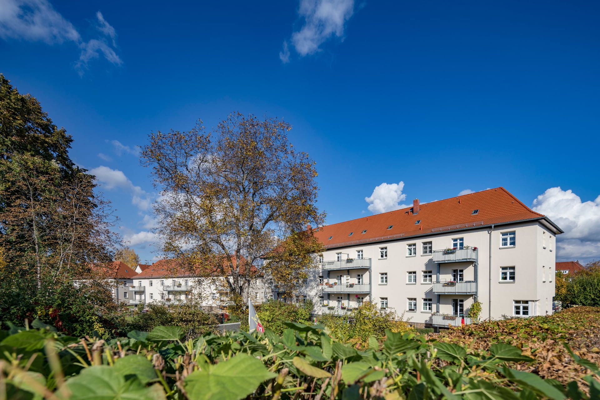 ewg-dresden-briesnitz-2020-8