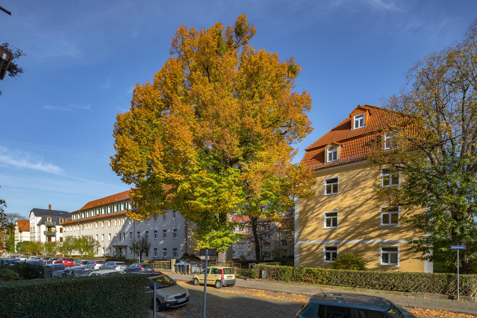 Löbtau (13)