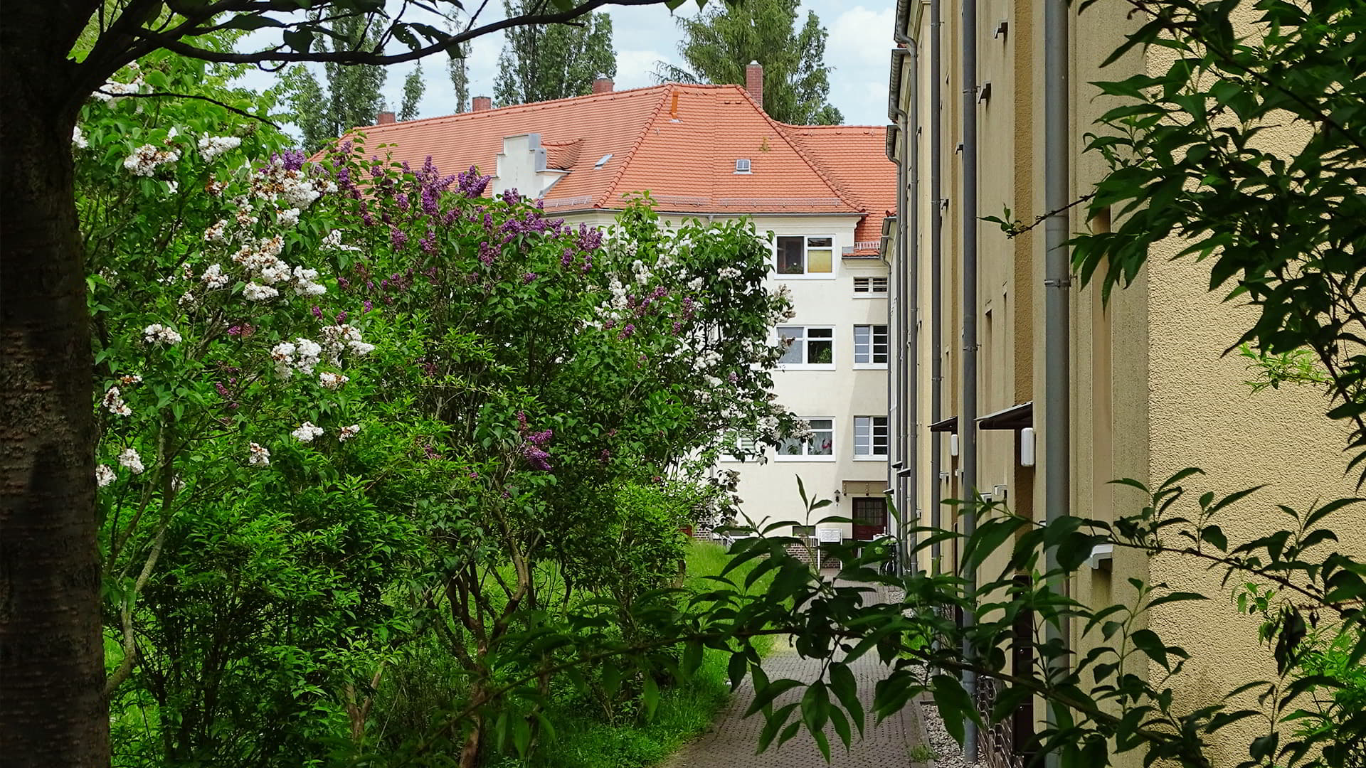 Naußlitz 2